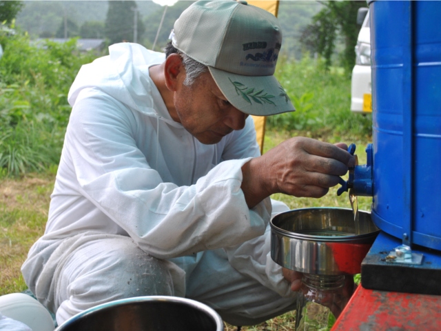 馬場さんの蜂蜜「遠野産はちみつ全4種」（300g）【送料込み】