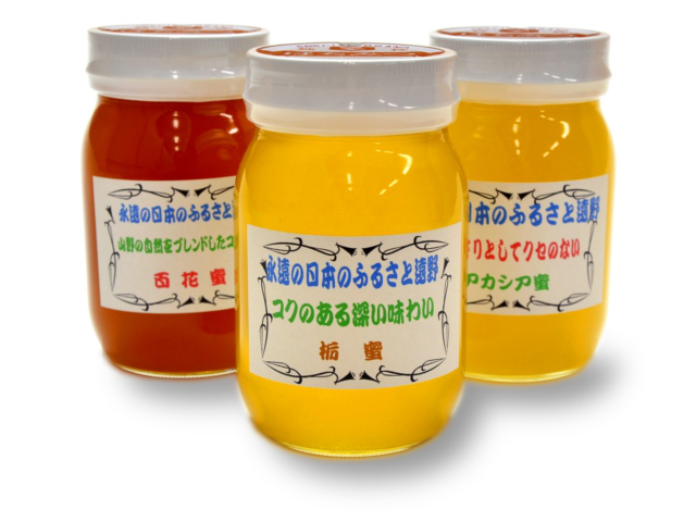 馬場さんの蜂蜜「遠野産はちみつ各種」（600g）【送料込み】