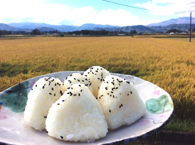 雫石町の自然豊かな田んぼ