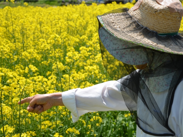 花兵養蜂農園産ハチミツ