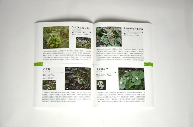 遠野学叢書第５巻　『遠野郷 野の草木』