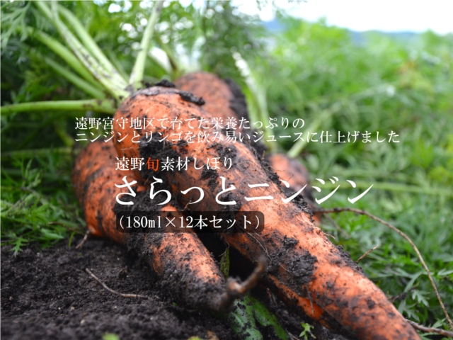 遠野旬素材しぼり・さらっとニンジン(180ml×12本セット)【送料無料】
