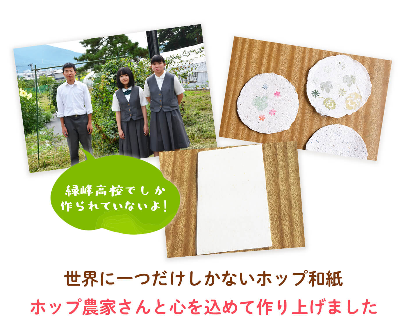 世界に一つだけしかないホップ和紙