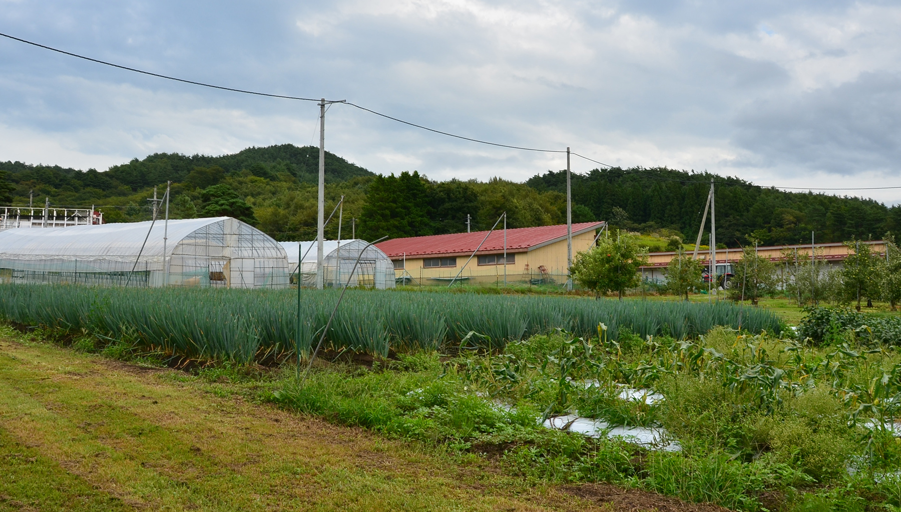 岩手県立大野高等学校