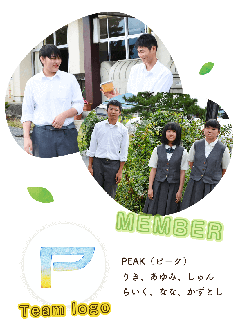 PEAK(ピーク)_画像